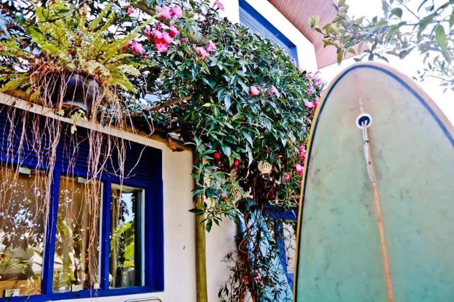 Casa Bossa Nova Guesthouse Ubatuba Exteriér fotografie